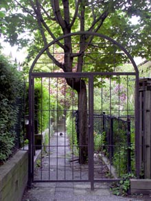 Laneway between the townhouses